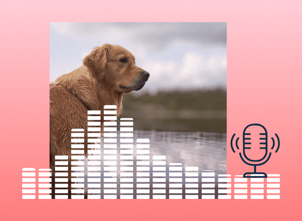 Vorsicht am Wasser – Die unterschätzte Gefahr durch Blaualgen