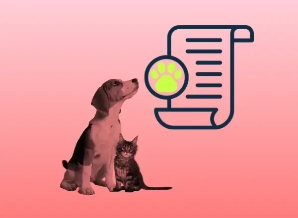 Erklärung von Franchise und Selbstbehalt bei der simpego Haustierversicherung