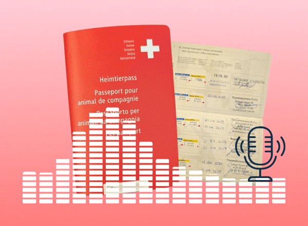 Impfungen bei Katzen und Hunde