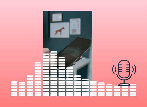 steigende Tierarztkosten